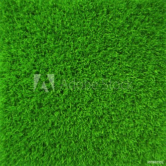 Picture of Green lawn grass background texture close-up 3d render